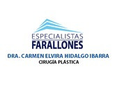 Dra. Carmen Elvira Hidalgo