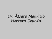 Dr. Álvaro Mauricio Herrera Cepeda