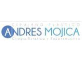 Dr. Andrés Mauricio Mojica Perico