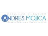 Dr. Andrés Mauricio Mojica Perico