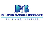 Dr. David Yanguas Bodensiek