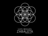 Dr. Luis Miguel Zabaleta