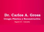 Dr. Carlos A. Gross