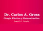 Dr. Carlos A. Gross