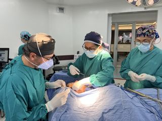 Dr. Jorge Iván Cañas Palacio