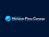 Hernando Pérez Camargo
