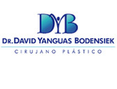Dr. David Yanguas Bodensiek