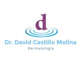 Dr. David Castillo Molina