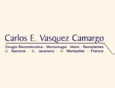 Carlos E. Vásquez Camargo