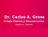 Dr. Carlos A. Gross