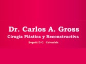 Dr. Carlos A. Gross
