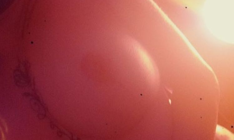 120323