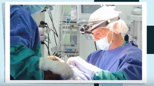 Candidatos rinoplastia