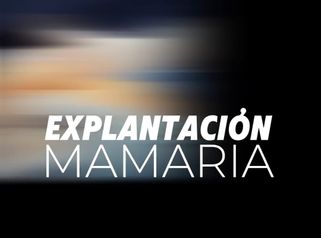 Explantacion mamaria - Dr. Jorge Puello White